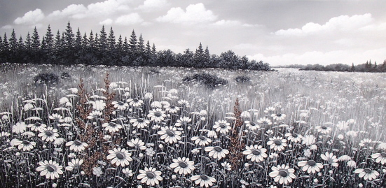 Cumulus Over Meadow