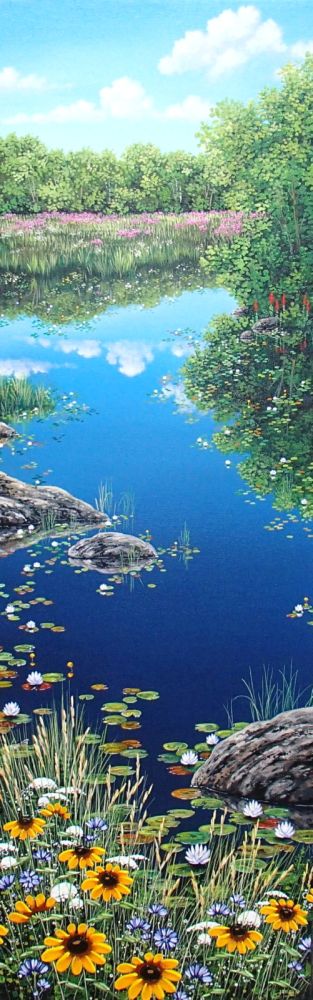 Stream Dream