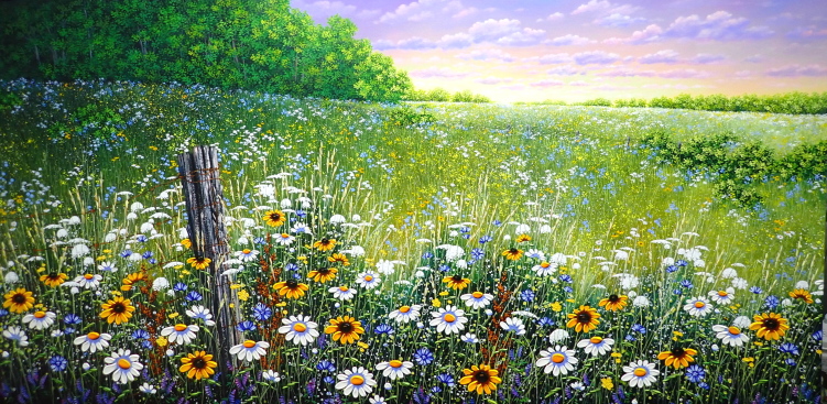 Under A Country Sky