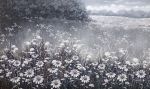 Field Dream