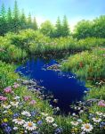 Stream Dream